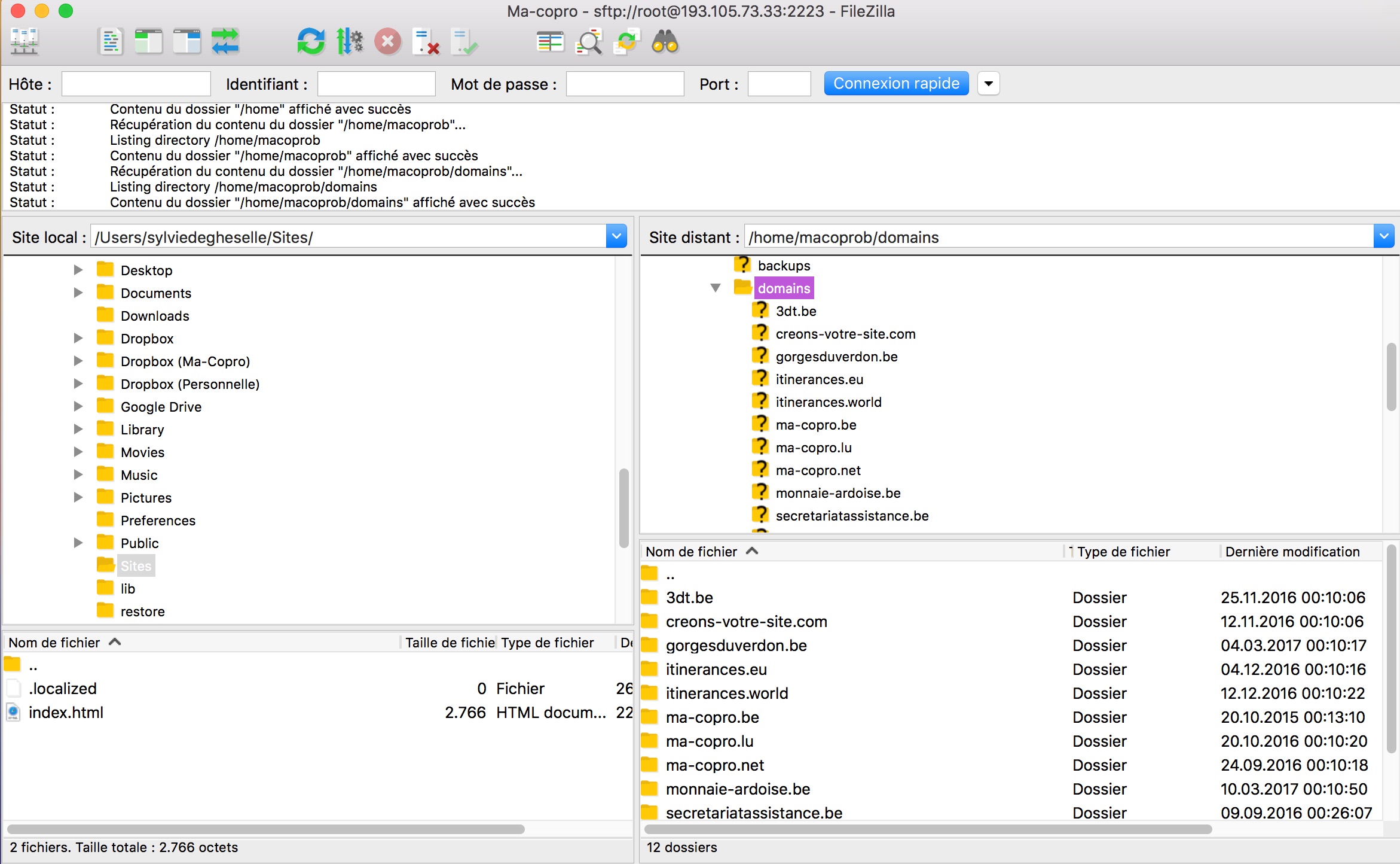 Copie écran de FileZilla et hiérarchie des dossiers