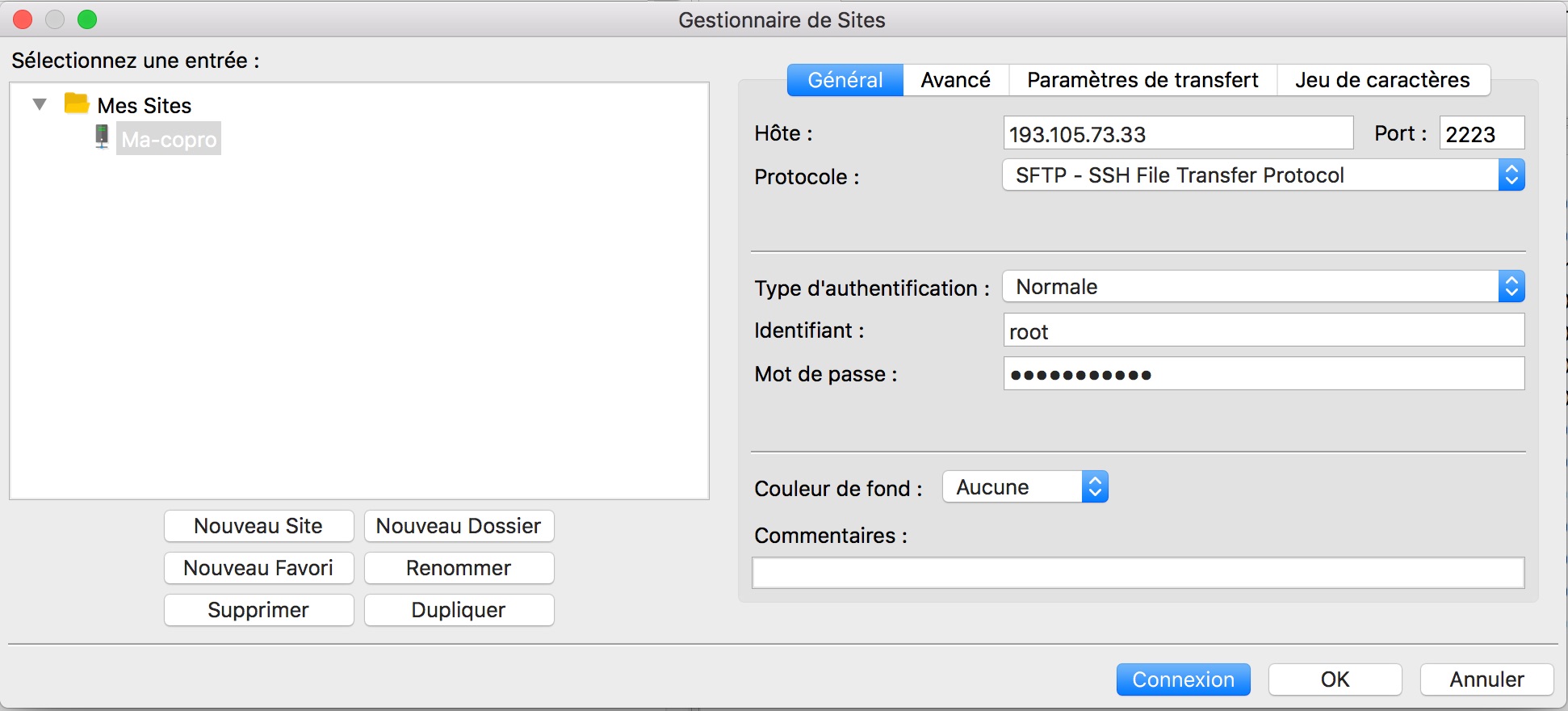 Copie écran de la fenêtre de connexion de FileZilla