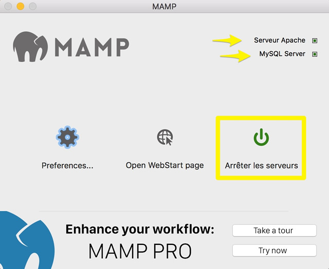 Capture d'écran de MAMP avec serveurs activés